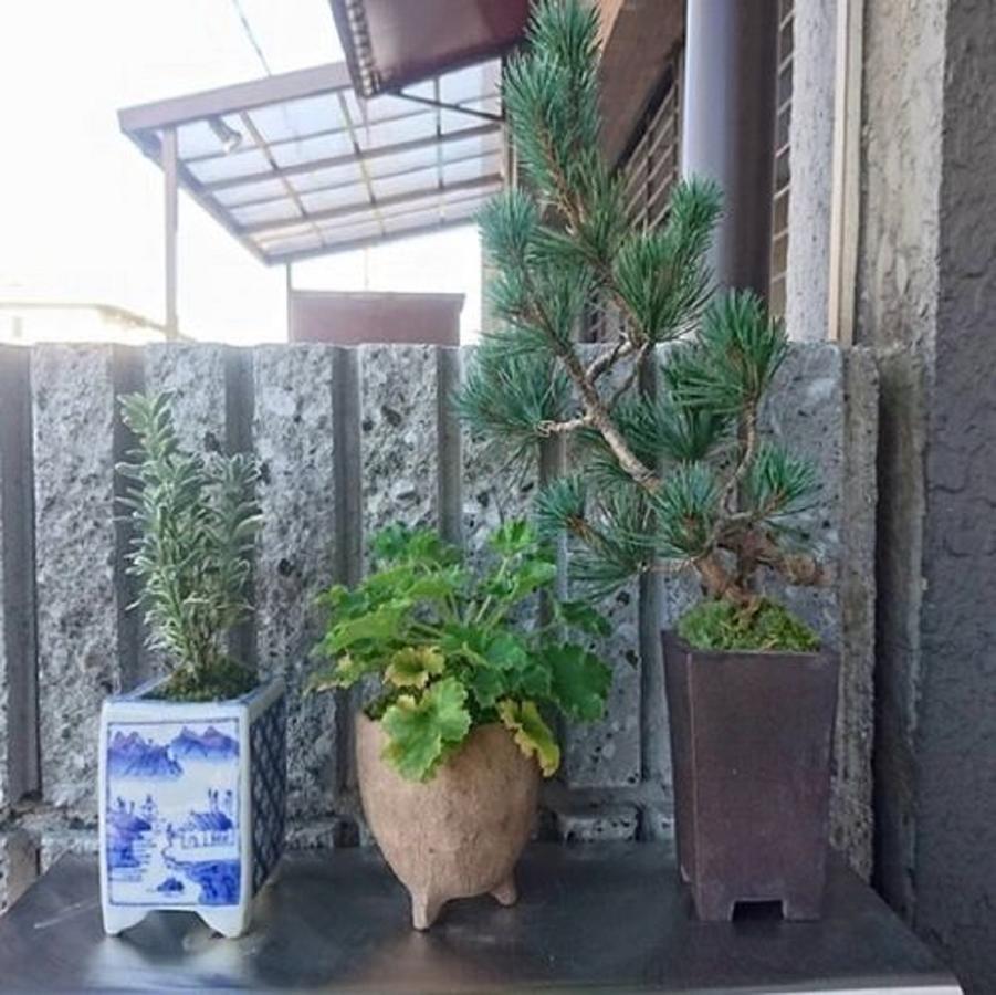 ゲストハウスたい 京都市 エクステリア 写真